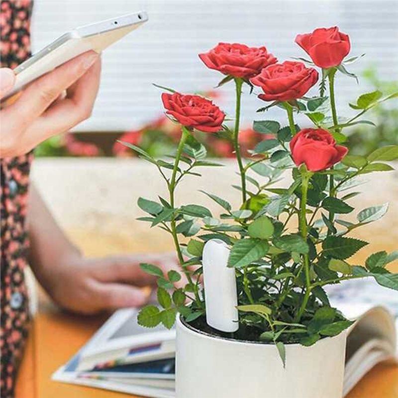 Plant Monitor - ABVG-Flora Intelligenter Blumenmonitor Gartenpflege Pflanzen-Gras-Boden-Wasser-Fruchtbarkeits-Tester Sensor