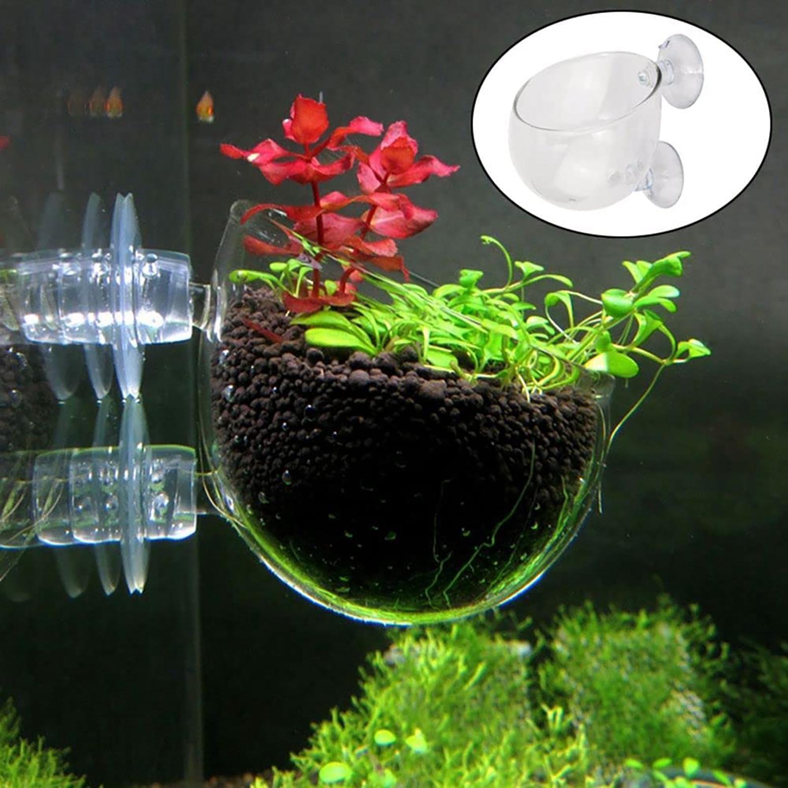 Hydroponic Grow Pod - Wasserpflanztopf, transparenter Acryl-Aquarium-Pflanzgefäß mit Saugnapf, Aquarium-Ornamente