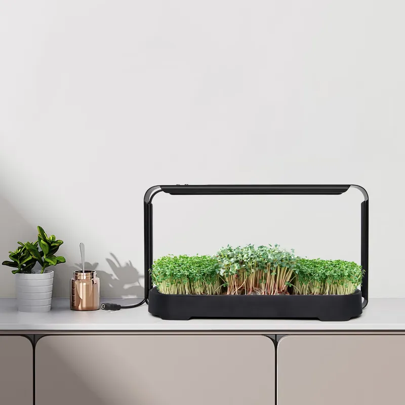 Microgreens Selbstbewässerndes – Self Watering Planter Bewertung und Preis
