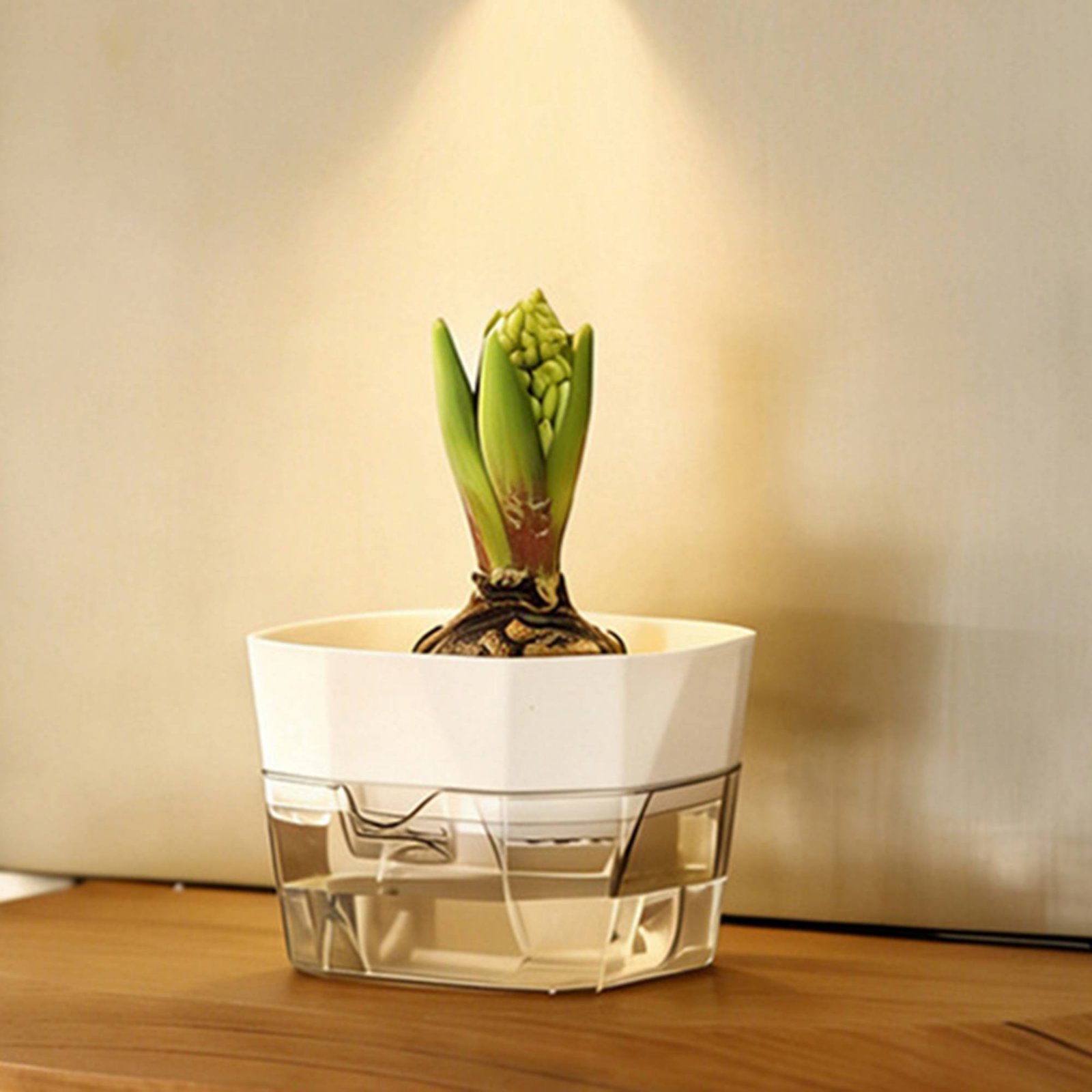 Hydroponische Glühbirnen-Vase  – Automatic Watering Bewertung und Preis