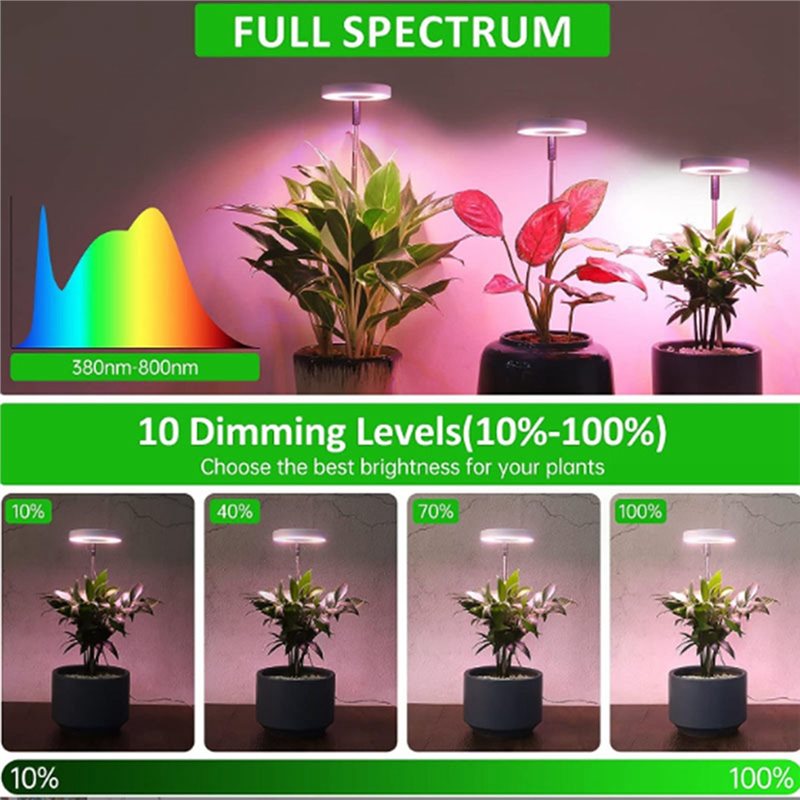 FYBL-LED-Pflanzenlampe mit vol – Plant Grow Light Full Spectrum Bewertung und Preis