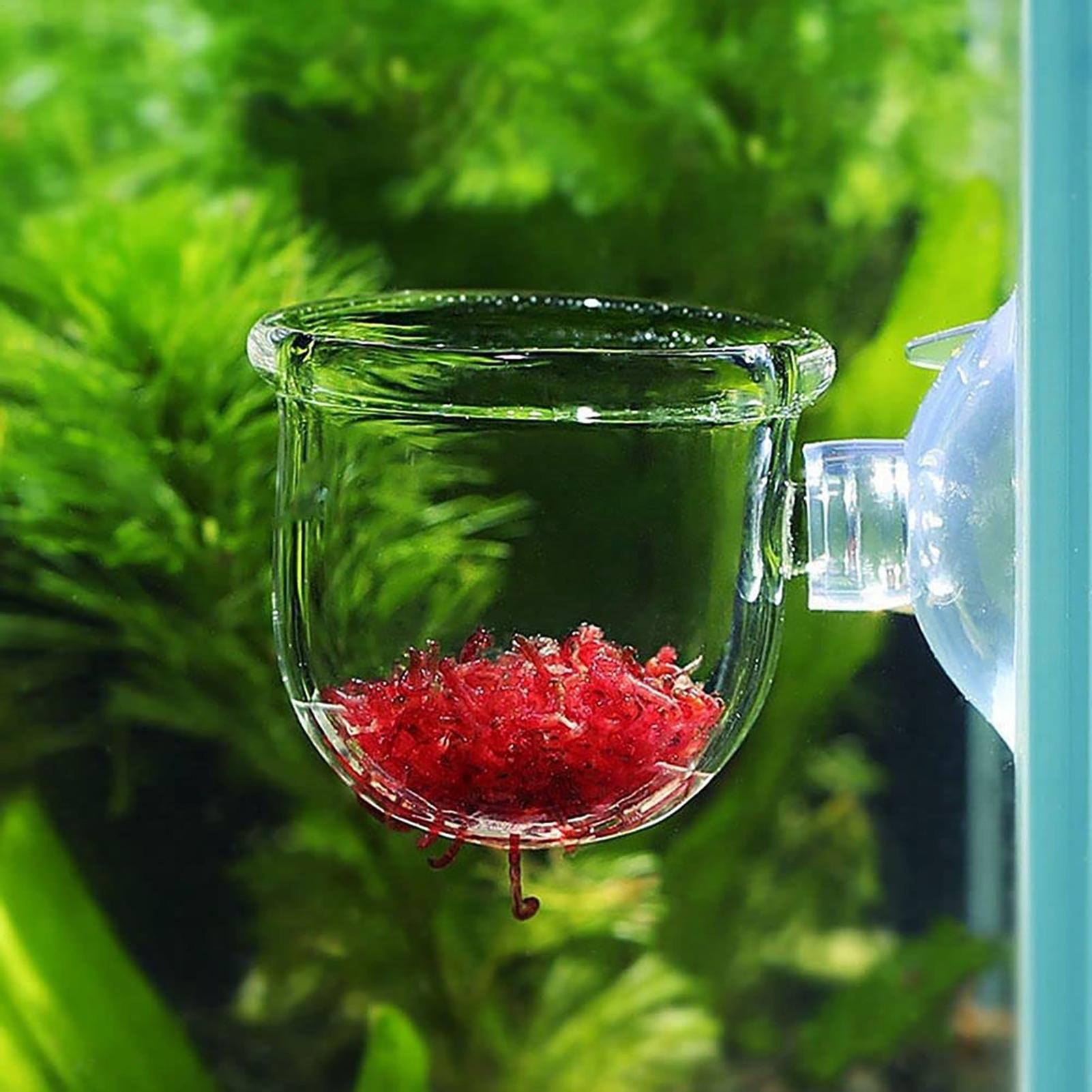 Wasserpflanztopf, transparente – Hydroponic Grow Pod Bewertung und Preis
