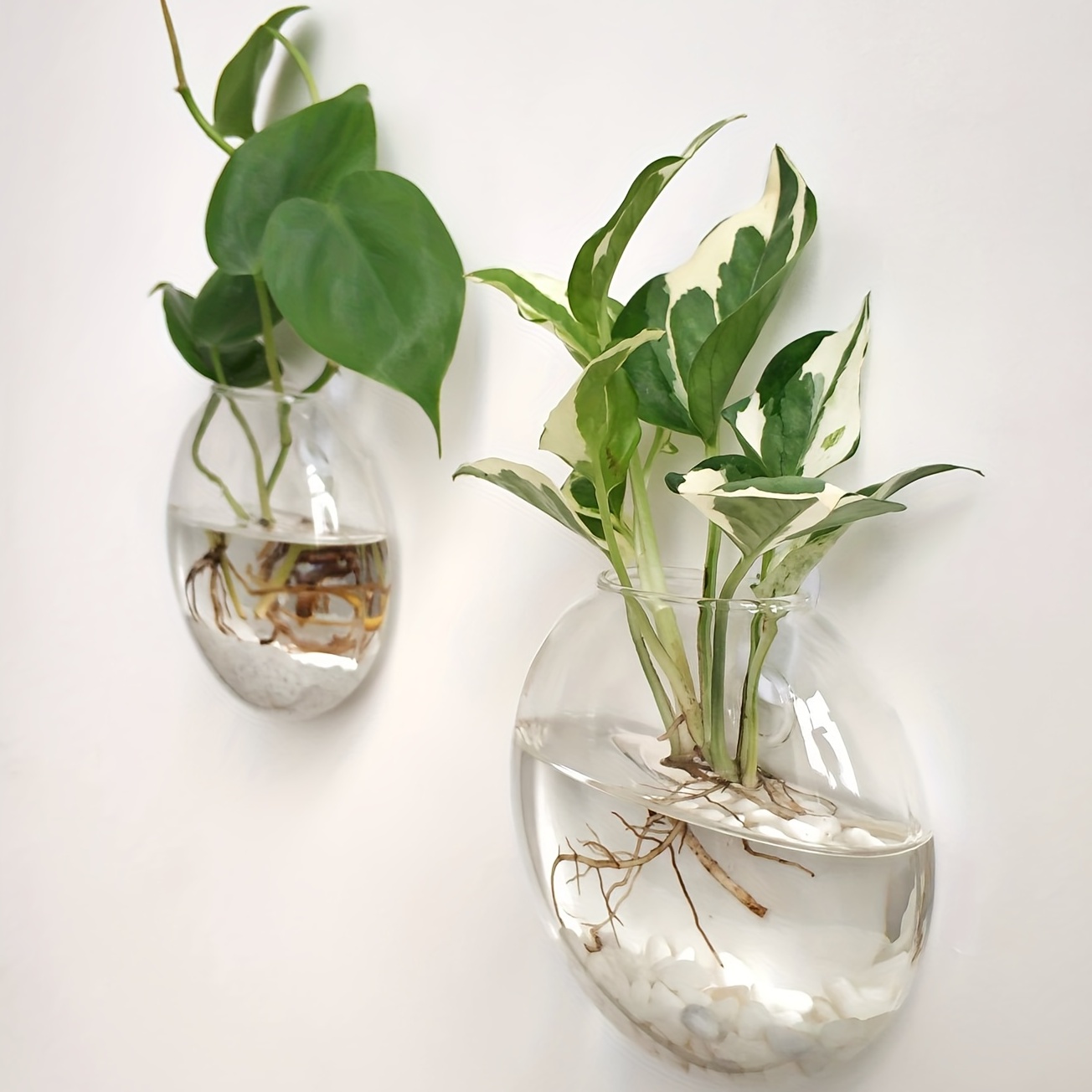 2 Stück/4 Stück/6 Stück Wandbe – Hydroponic Grow Pod Bewertung und Preis