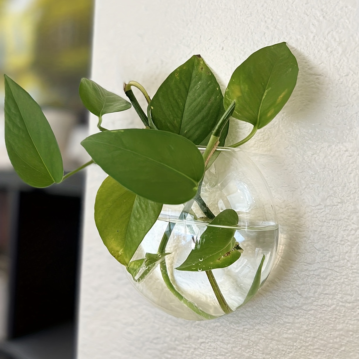 2 Stück/4 Stück/6 Stück Wandbe – Hydroponic Grow Pod Bewertung und Preis