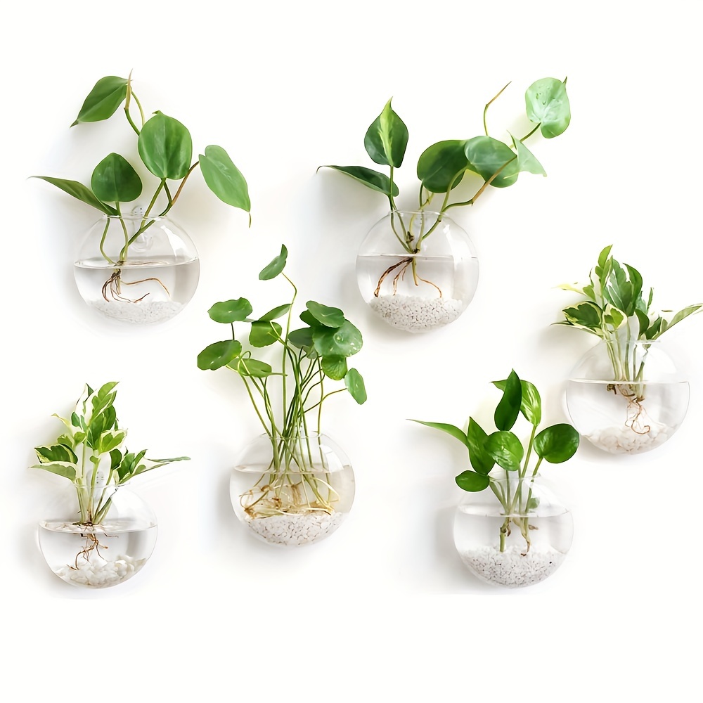 2 Stück/4 Stück/6 Stück Wandbe – Hydroponic Grow Pod Bewertung und Preis
