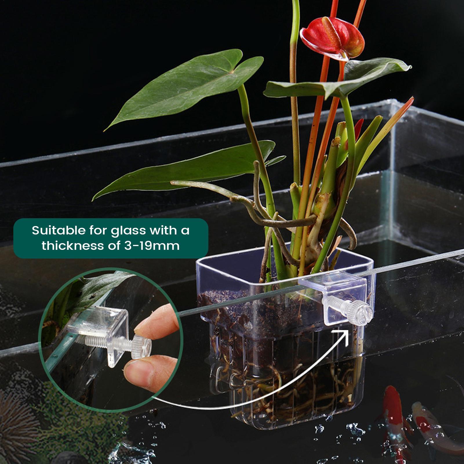Transparenter Aquarien-Pflanze – Hydroponic Grow Pod Bewertung und Preis