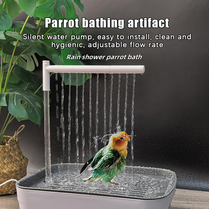 Neuer Verkauf 2026 Automatisch – Automatic Watering Bewertung und Preis