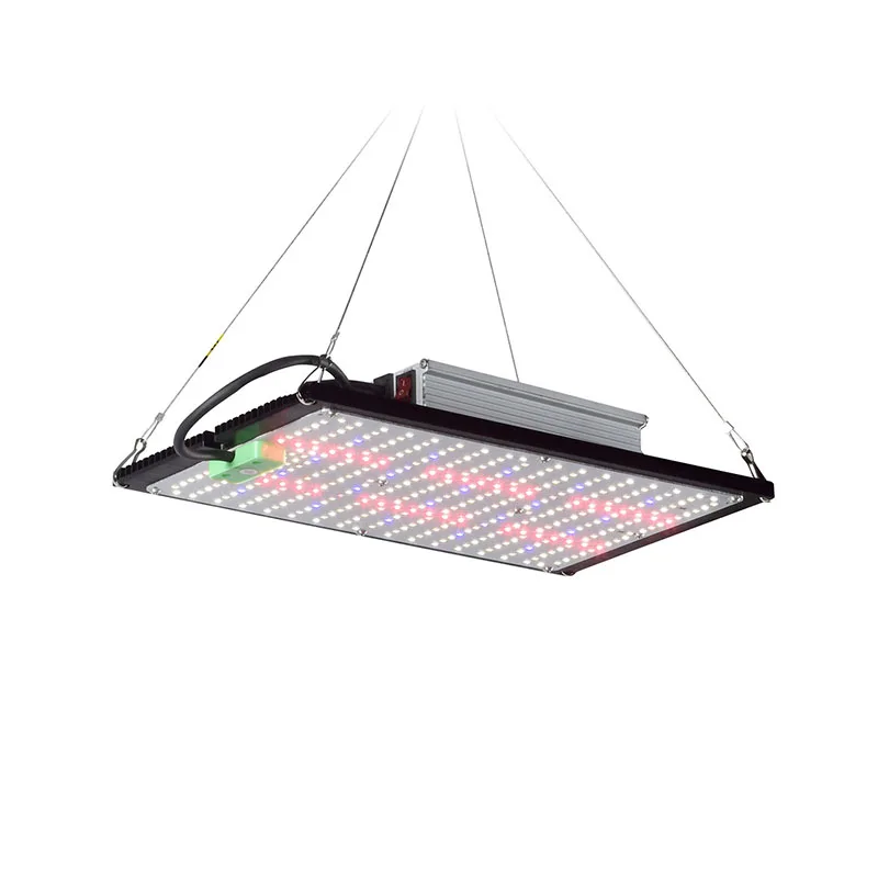 LED-Quantum-Board-Pflanzenlamp – Plant Grow Light Full Spectrum Bewertung und Preis